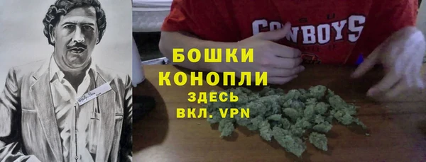 сатива Беломорск