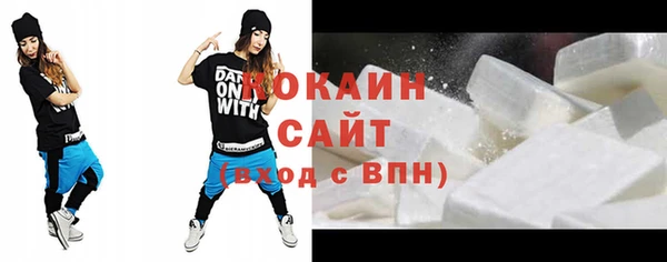 сатива Беломорск