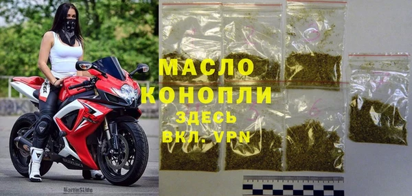 сатива Беломорск