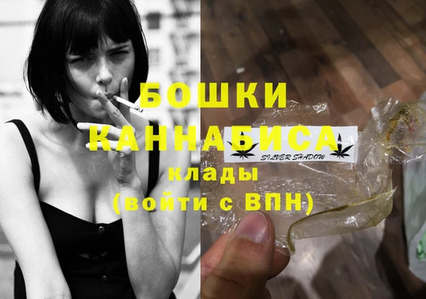 дмт Богородск