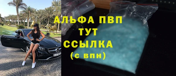 сатива Беломорск