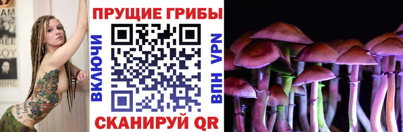 Галлюциногенные грибы прущие грибы  где найти наркотики  Великий Устюг 